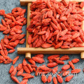 Ningxia Organic Dry Goji Berry dengan Harga Rendah